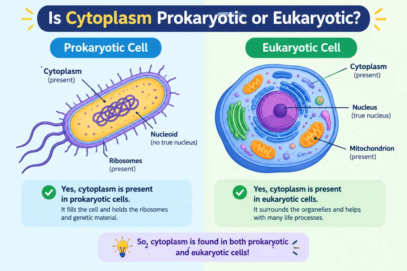 is-cytoplasm-prokaryotic-or-eukaryotic