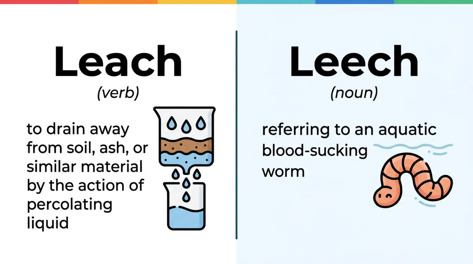 leach-or-leech